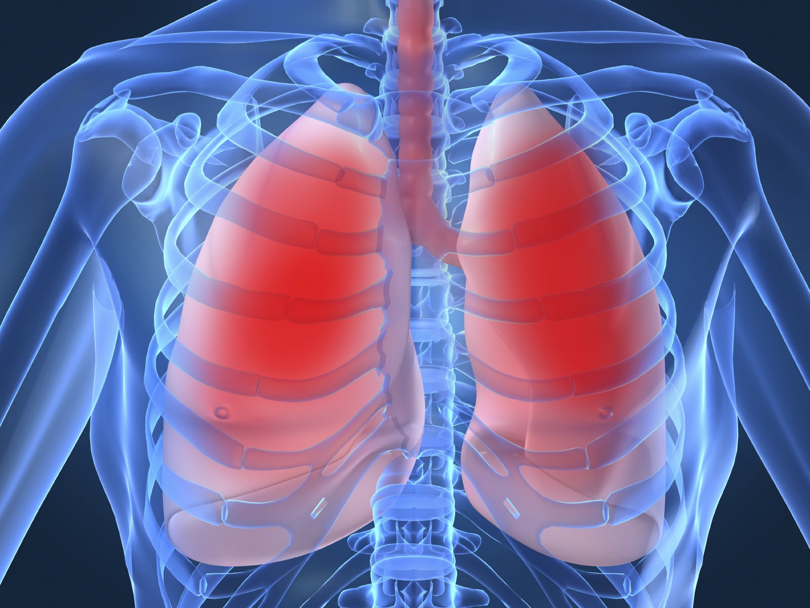 Mesothelioma and Lung Cancer Treatment Options